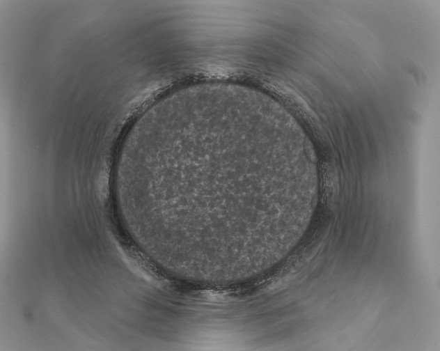 X0000111000496200907311034