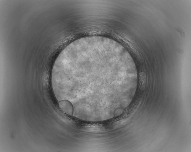 X0000111000499200907311034