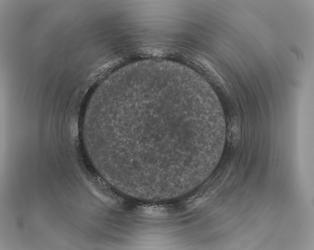 X0000111000500200907311034