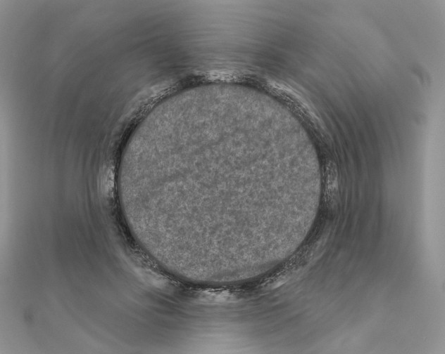 X0000111000502200907311034