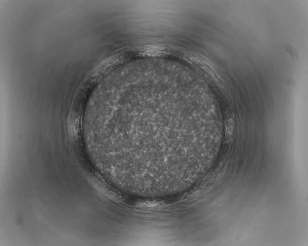 X0000111000503200907311034