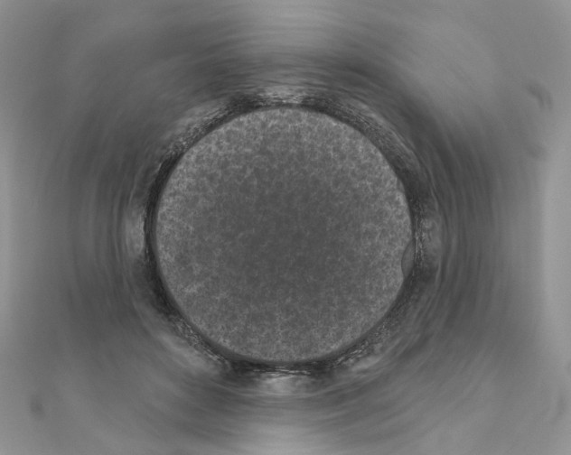 X0000111000504200907311034