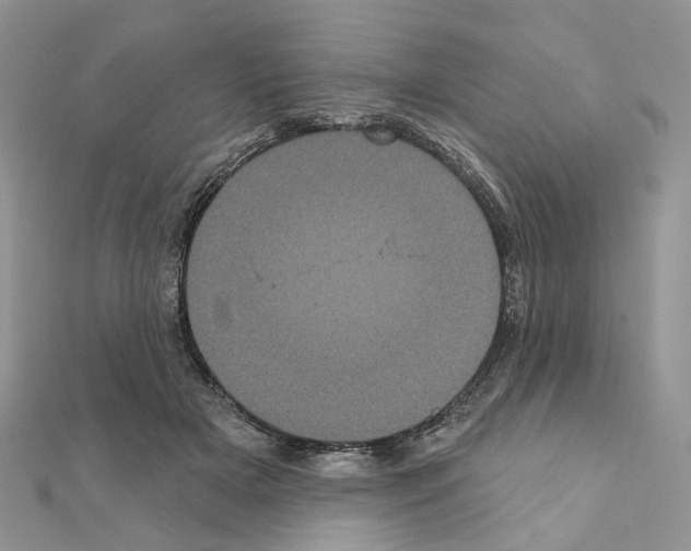 X0000111000505200907311034