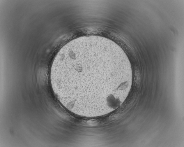 X0000111000506200907311034