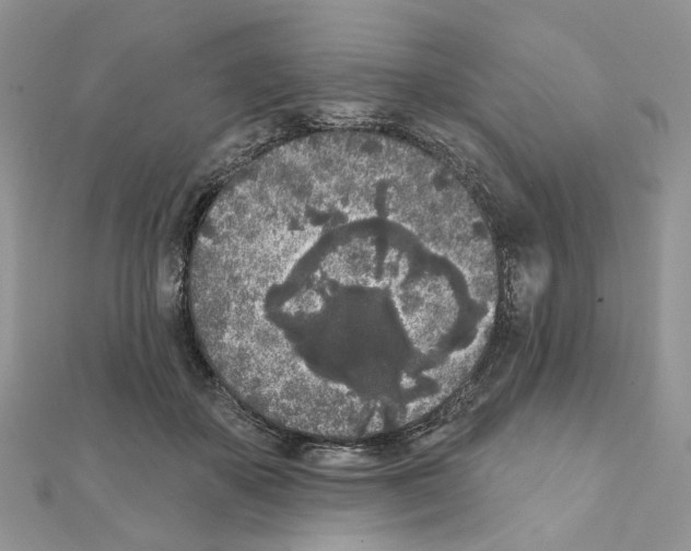 X0000111000507200907311034