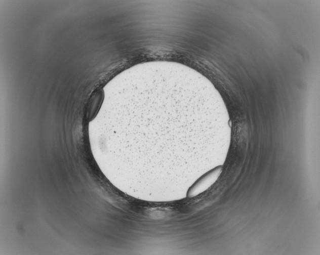 X0000111000508200907311034