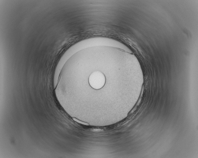 X0000111000509200907311034