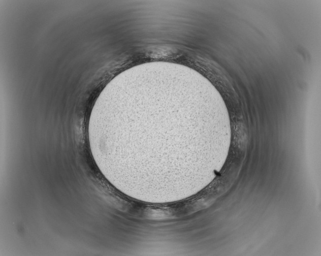 X0000111000510200907311034