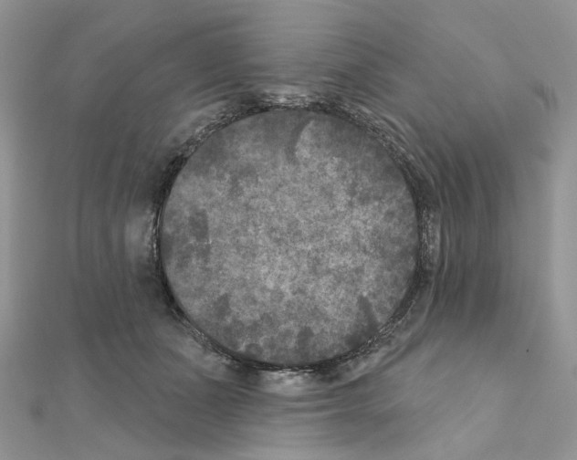 X0000111000511200907311034