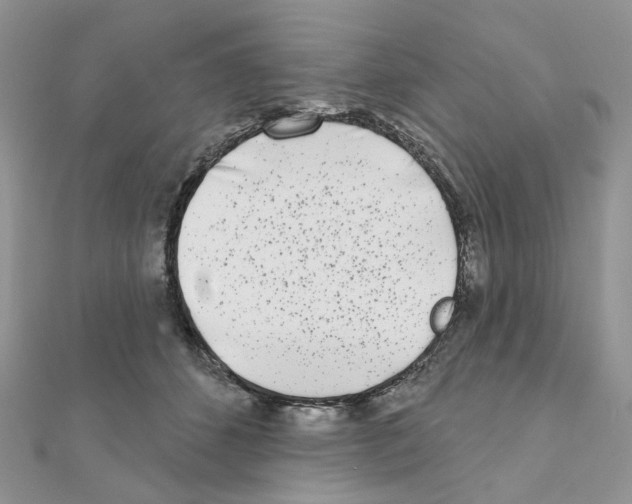 X0000111000512200907311034