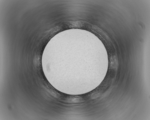 X0000111000514200907311034