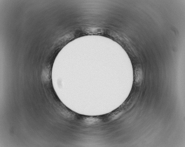 X0000111000515200907311034