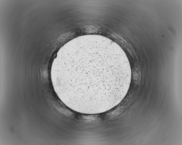 X0000111000516200907311034