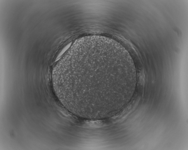 X0000111000517200907311034