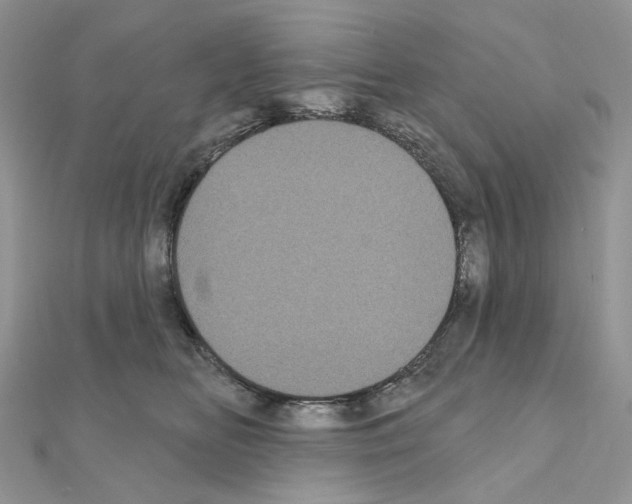 X0000111000518200907311034