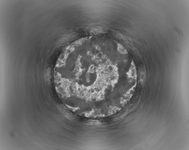 X0000111000519200907311033