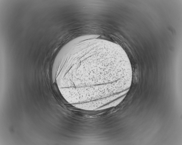 X0000111000520200907311033