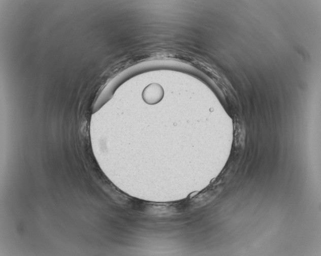 X0000111000521200907311033