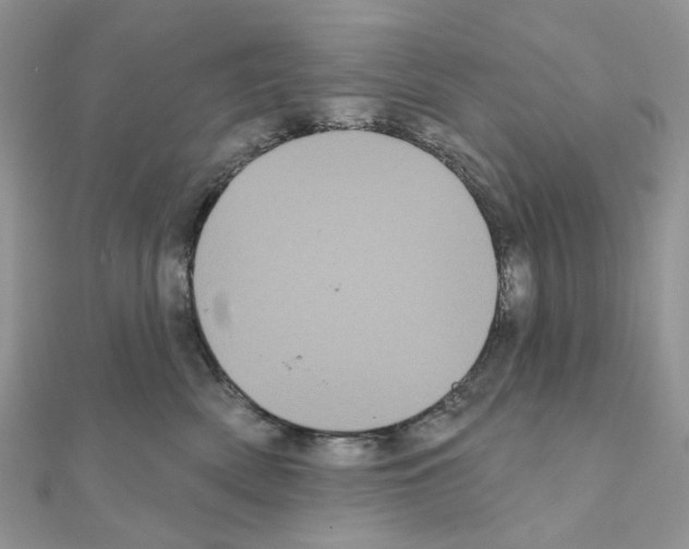 X0000111000522200907311033