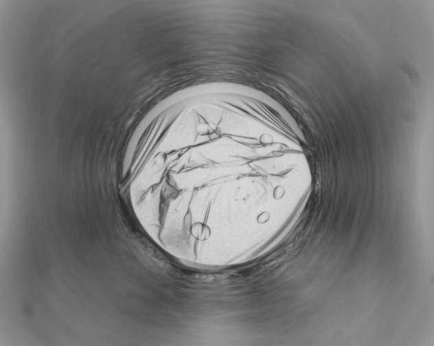 X0000111000524200907311033