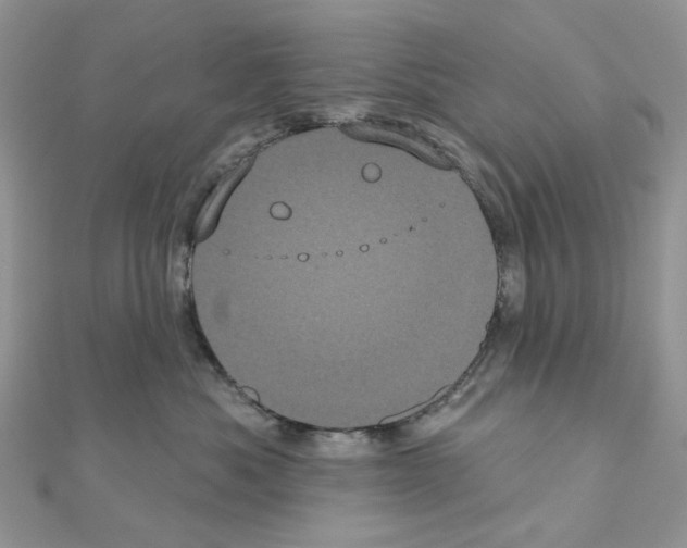 X0000111000525200907311033