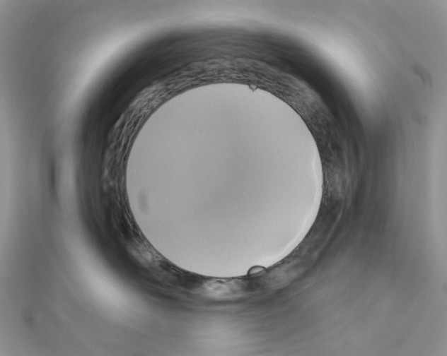 X0000111000526200907311033