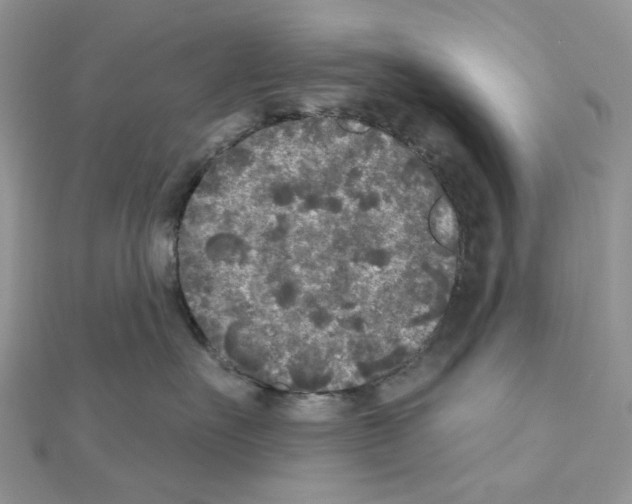 X0000111000527200907311033