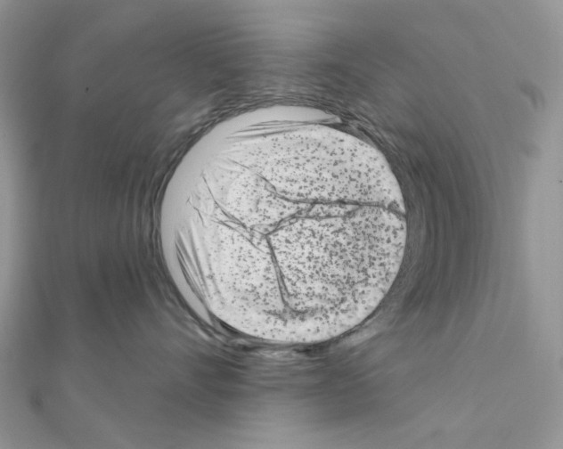 X0000111000528200907311033