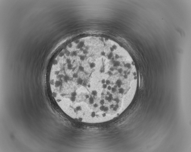 X0000111000531200907311033