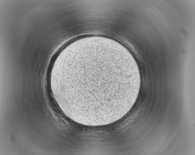 X0000111000532200907311033