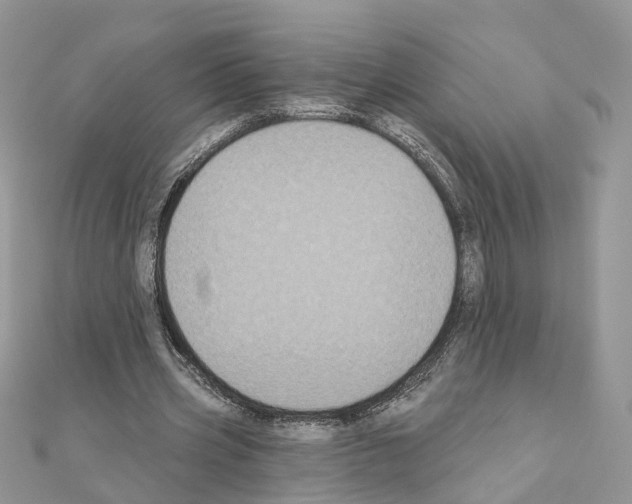 X0000111000533200907311033