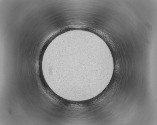 X0000111000535200907311033