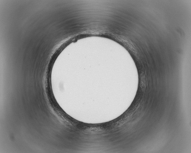 X0000111000536200907311033