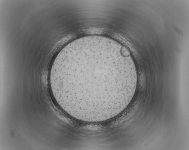 X0000111000537200907311033