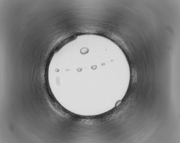 X0000111000538200907311033