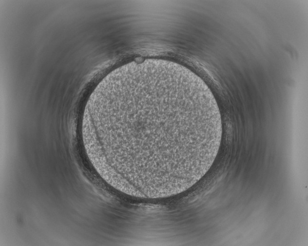 X0000111000539200907311033