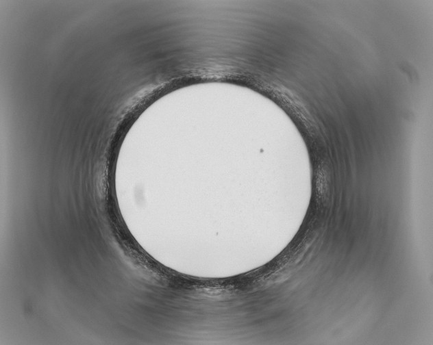 X0000111000540200907311033