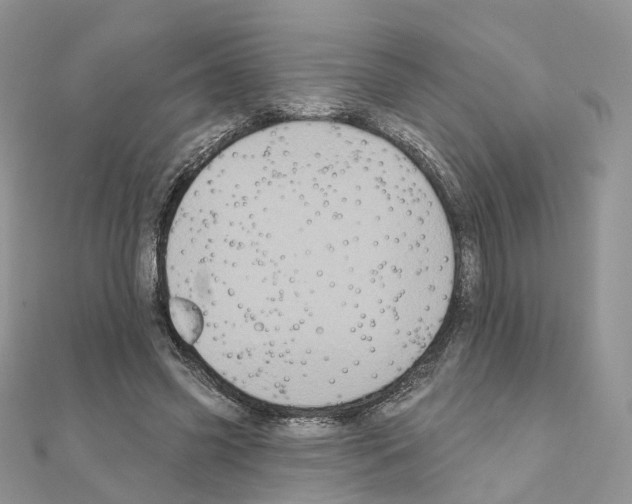 X0000111000541200907311033