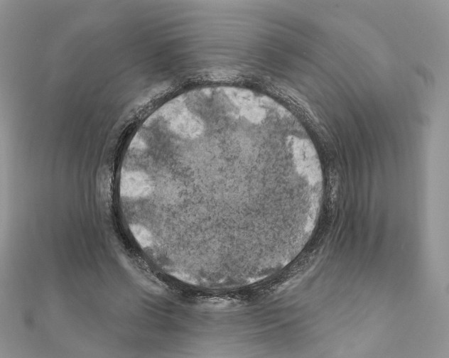 X0000111000542200907311033