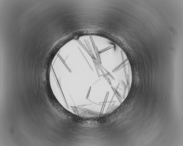 X0000111000543200907311033