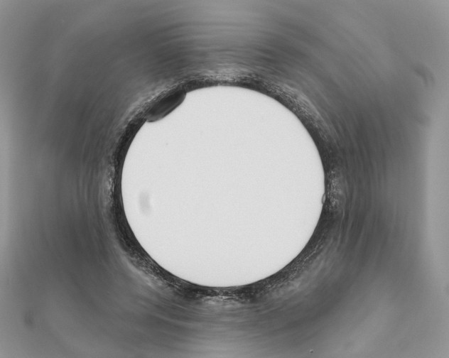 X0000111000544200907311033