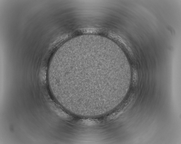 X0000111000545200907311033