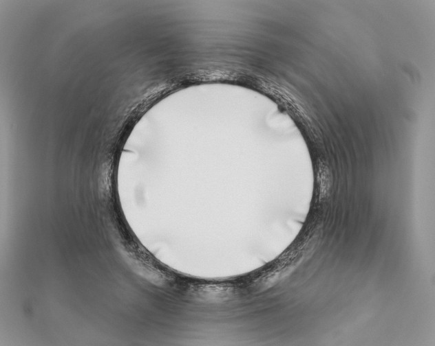 X0000111000546200907311033