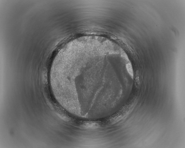 X0000111000547200907311033