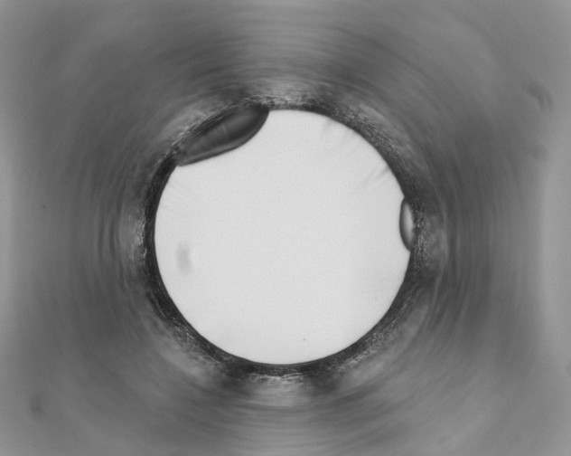 X0000111000548200907311033