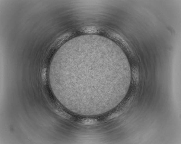 X0000111000549200907311033