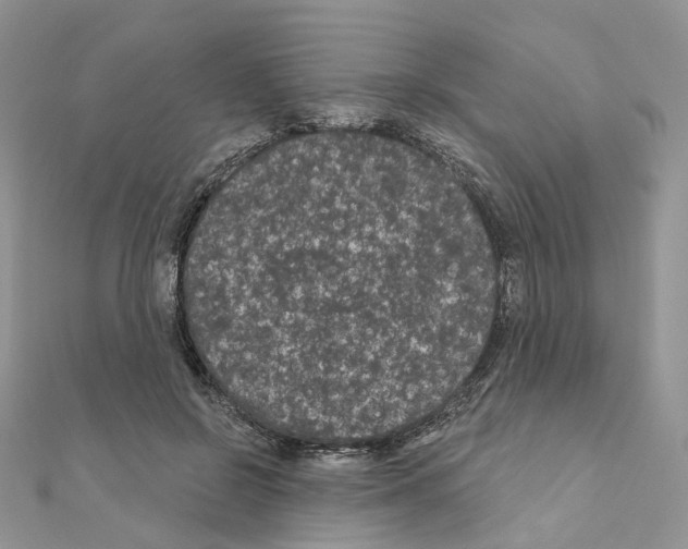 X0000111000550200907311033