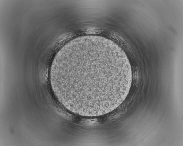 X0000111000554200907311033