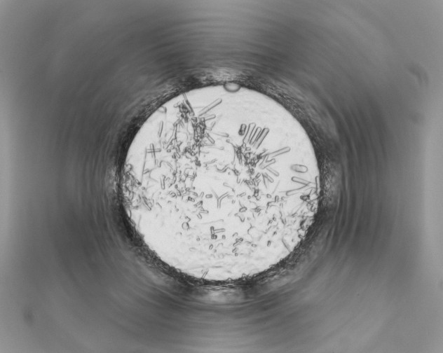 X0000111000555200907311033