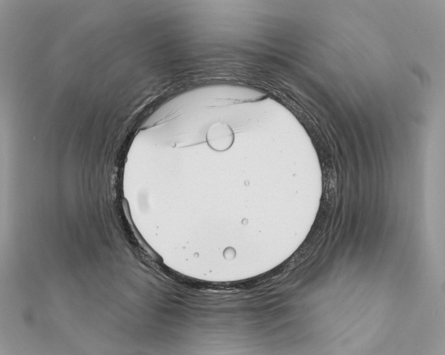 X0000111000556200907311033